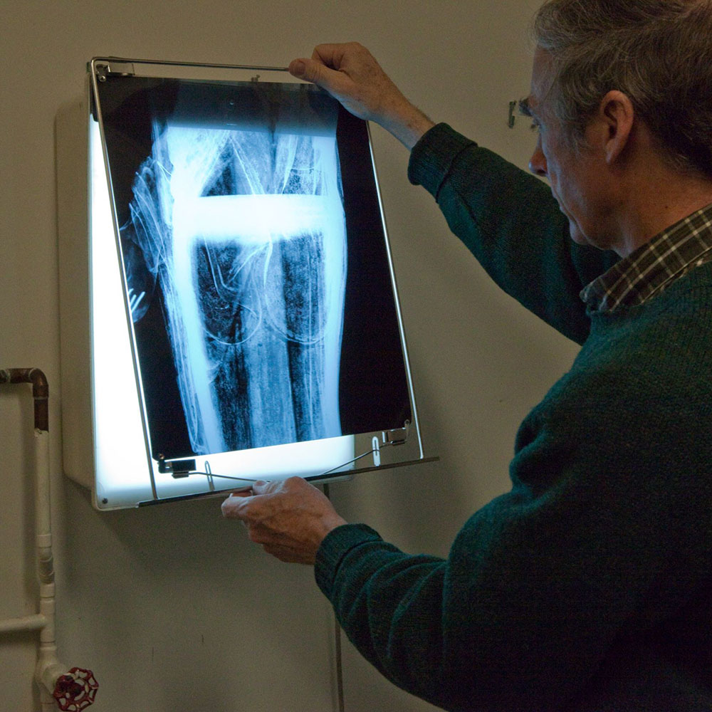 https://give.asianart.org/wp-content/uploads/sites/8/2020/09/1-Mark-studying-x-ray-L.jpg 1x, https://give.asianart.org/wp-content/uploads/sites/8/2020/09/1-Mark-studying-x-ray-L.jpg 2x